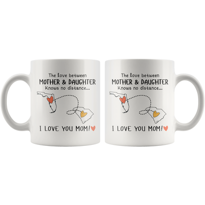 HNV-CUS-GRAND-sp-27053 - [ Florida | South Carolina ] (mug_11oz_white) Mothers Day Gifts Personalized Mother Day Gifts Coffee Mug F